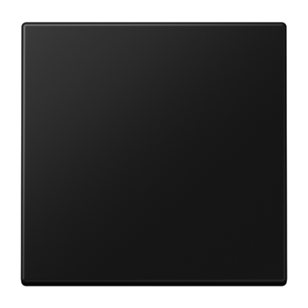 Taster 1v stand dim/jal LB Man grafiet mat LS