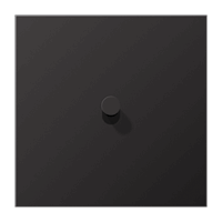 Cpl 1v slv inb tuimelschak. kegel dark LS afbeelding 2
