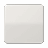 Taster 1v stand. dimm/jaloez. LB Man lichtgrijs CD afbeelding 2