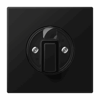 Cpl+knop draaischakelaar grafiet mat LS afbeelding 2