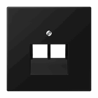 CPL slv 2xIAE/UAE Rut./Teleg. grafiet mat LS afbeelding 2