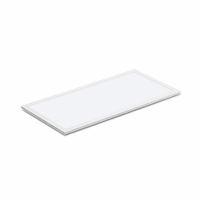 LED-paneel 60x120 Tri-White 48W+driver CCT wit afbeelding 2