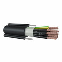 Dynamic Lify 2Ty 20G1.5 Liftkabel 2X Staaldr Lify afbeelding 2