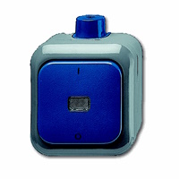 ABB Busch- 2601/2 Wdi Schak opb 2P Indus Ip66 Stee afbeelding 2