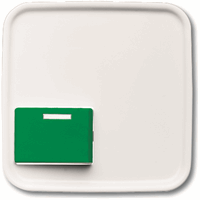 ABB Busch- 2548-642 C-214-101 CPL Ackermann Nr7364 afbeelding 2