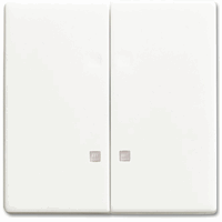 ABB Busch- 1785 K-884 Wip Serie Contr F-Matwit afbeelding 2