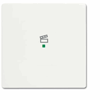 ABB Busch- 6233-10-884 Fah Bedieningswip 1V Scene afbeelding 2