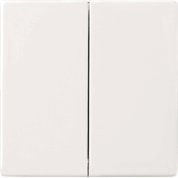 ABB Busch- 6736 Foh-84 Foh-Bedieningswip Future St afbeelding 2