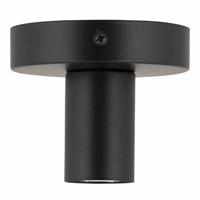 Bailey 141716 Ceiling / Wall Lamp Metal S E2 afbeelding 2