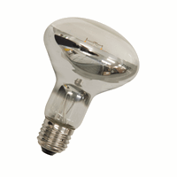 Bailey 142696 Led Filament R80 E27 240V 4W 2 afbeelding 2