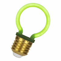 Bailey 144344 Neon Led G45 E27 2W Green afbeelding 2