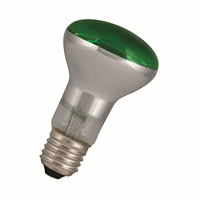 Bailey 80100038661 Led Filament R63 E27 240V 4W G afbeelding 2