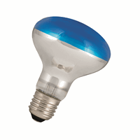 Bailey 80100038664 Led Filament R80 E27 240V 4W B afbeelding 2