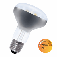 Bailey 80100040294 Led Filament R80 E27 240V 8W 3 afbeelding 2