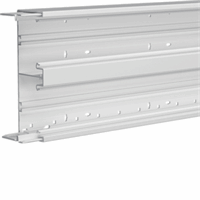 Bodemprofiel BRH 65x210 dubbel RAL9016 verkeerswit afbeelding 2