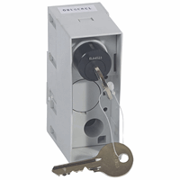 Legrand 026580 Slot Debro Lift Motbed Dpx1600 afbeelding 2