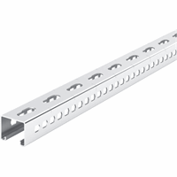 Legrand 343930 RAil Strut R41Sp 41X41X2 L3 afbeelding 2