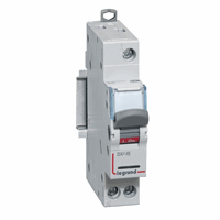 Legrand 406420 Lastscheider Dx3-Is 1P 40A afbeelding 2