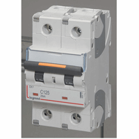 Legrand 409777 Mcb Dx3 2P C125A 25Ka afbeelding 2