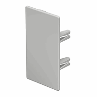 Obo Wdk He60110Lgr Eindstuk 60X110mm Pvc Lichtgri afbeelding 2
