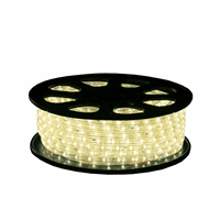 LED Lichtslang 13mm | 24V | 30m | 36 LED/m | 3000K