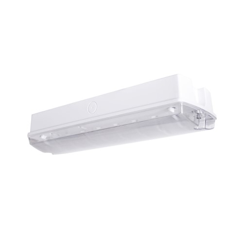 Noodverlichting Bulkhead 5W M/NM IP65 afbeelding 2
