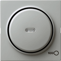 Gira S-Color Cpl + Wip "sleutel" grijs 028742 afbeelding 2