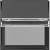 Gira TX_44 Wip lens "sleutel" tekstvld antraciet 068067 afbeelding 2