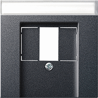 Gira System 55 Cpl USB multimedia tekstkader antraciet 087628 afbeelding 2