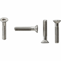 Gira Schroeven verz.kop Torx VPE=30st 140200 afbeelding 2