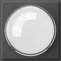 Gira TX_44 Afdekking kleurcamera antraciet 141567 afbeelding 2