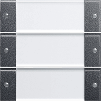 Gira System 55 Taster 3-v tekstkader Clear antraciet 213328 afbeelding 2