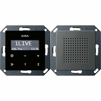 Gira System 55 Inb.radio RDS + luidspreker edelstaal 2280600 afbeelding 2