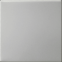 Gira System 55 Taster 1-v S3000 edelstaal 5360600 afbeelding 2