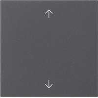 Gira System 55 Taster 1-v S3000 pijlen antraciet 536128 afbeelding 2