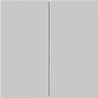 Gira System 55 Taster 2-v S3000 grijs mat 5362015 afbeelding 2