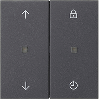 Gira System 55 Taster 2-v S3000 memory pijlen antraciet 536328 afbeelding 2