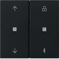 Gira System 55 Inb. Jal.schak. + schakelklok S3000 BT zwart mat 5367005 afbeelding 2