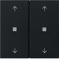 Gira System 55 Schakelwip 2-v pijlen lens zwart mat 5386005 afbeelding 2