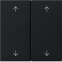 Gira System 55 Schakelwip 2-v pijlen zwart mat 5387005 afbeelding 2
