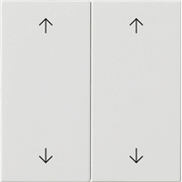 Gira System 55 Schakelwip 2-v pijlen zuiver wit 538703 afbeelding 2