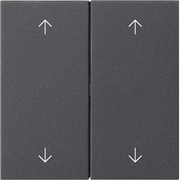 Gira System 55 Schakelwip 2-v pijlen antraciet 538728 afbeelding 2