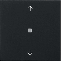 Gira System 55 Wip pijlen lens zwart mat 5388005 afbeelding 2