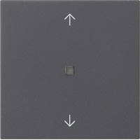 Gira System 55 Wip pijlen lens antraciet 538828 afbeelding 2