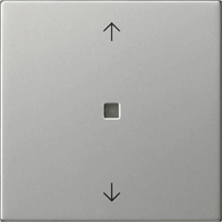 Gira System 55 Wip pijlen lens edelstaal 5388600 afbeelding 2