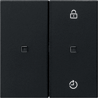 Gira System 55 Taster 2-v eNet Memory controle zwart mat 5493005 afbeelding 2