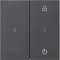 Gira System 55 Taster 2-v eNet Memory controle antraciet 549328 afbeelding 2