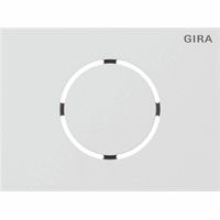 Gira System 106 Frontplaat deurstation verkeerswit 5579902 afbeelding 2
