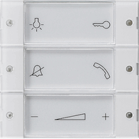 Gira System 55 Opzetstuk taster huisstation 850003 afbeelding 2