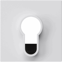 Gira System 55 Afdekking sleutelschakelaar zuiver wit 866403 afbeelding 2